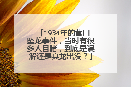1934年的营口坠龙事件,当时有很多人目睹,到底是误解还是真龙出没?