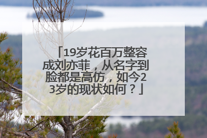 19岁花百万整容成刘亦菲,从名字到脸都是高仿,如今23岁的现状如何?