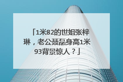 1米82的世姐张梓琳,老公聂磊身高1米93背景惊人?