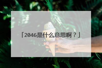 2046是什么意思啊?