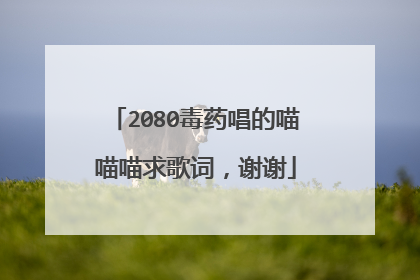 2080毒药唱的喵喵喵求歌词,谢谢