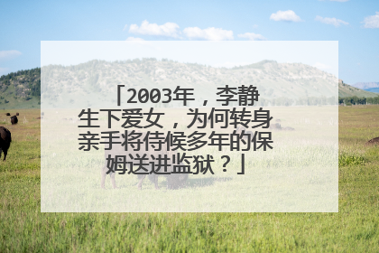 2003年,李静生下爱女,为何转身亲手将侍候多年的保姆送进监狱?