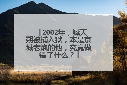 2002年,臧天朔被捕入狱,本是京城老炮的他,究竟做错了什么?