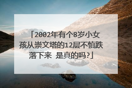 2002年有个8岁小女孩从崇文塔的12层不慎跌落下来 是真的吗?