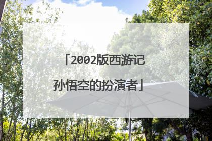 2002版西游记孙悟空的扮演者