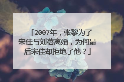 2007年,张黎为了宋佳与刘蓓离婚,为何最后宋佳却拒绝了他?