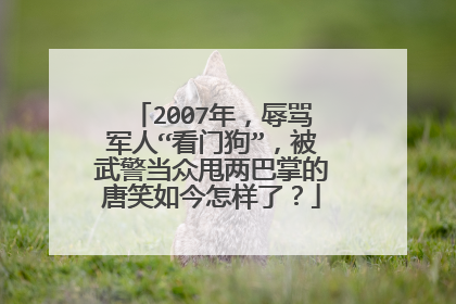 2007年,辱骂军人“看门狗”,被武警当众甩两巴掌的唐笑如今怎样了?