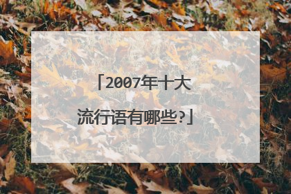 2007年十大流行语有哪些?