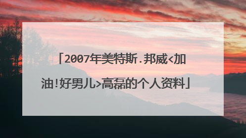 2007年美特斯.邦威<加油!好男儿>高磊的个人资料