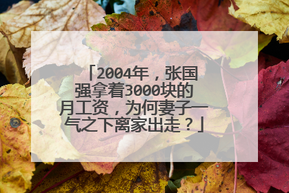 2004年，张国强拿着3000块的月工资，为何妻子一气之下离家出走？