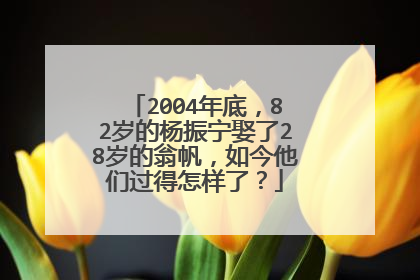2004年底，82岁的杨振宁娶了28岁的翁帆，如今他们过得怎样了？