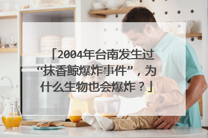 2004年台南发生过“抹香鲸爆炸事件”，为什么生物也会爆炸？