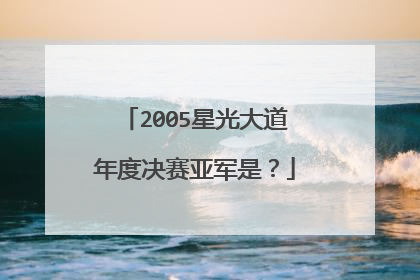 2005星光大道年度决赛亚军是？