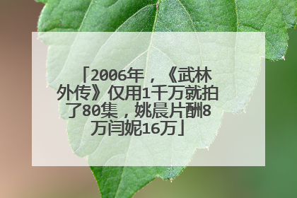 2006年，《武林外传》仅用1千万就拍了80集，姚晨片酬8万闫妮16万