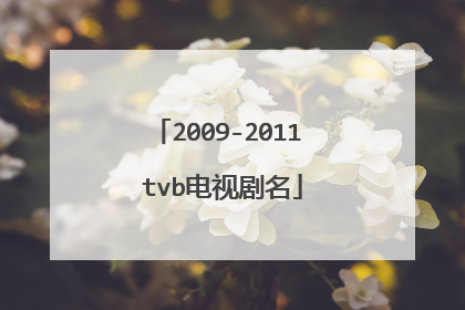 2009-2011 tvb电视剧名