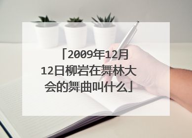 2009年12月12日柳岩在舞林大会的舞曲叫什么