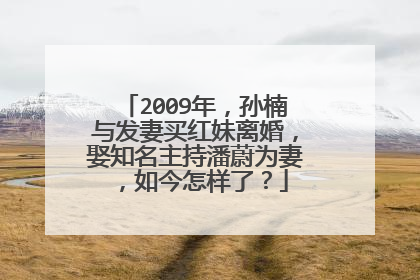 2009年，孙楠与发妻买红妹离婚，娶知名主持潘蔚为妻，如今怎样了？