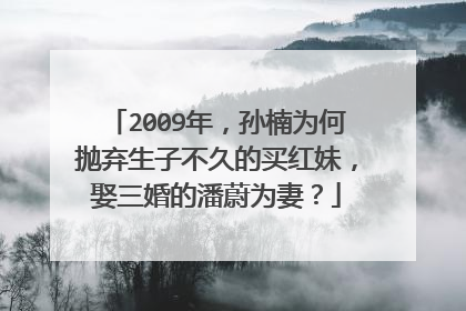 2009年,孙楠为何抛弃生子不久的买红妹,娶三婚的潘蔚为妻?