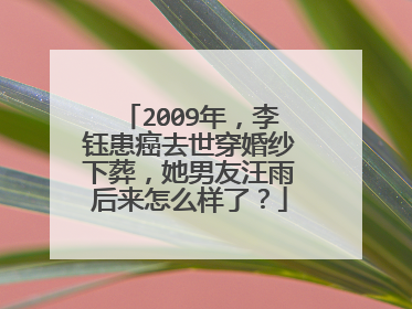 2009年，李钰患癌去世穿婚纱下葬，她男友汪雨后来怎么样了？