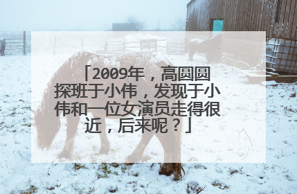 2009年，高圆圆探班于小伟，发现于小伟和一位女演员走得很近，后来呢？