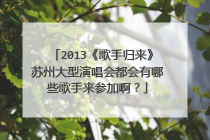 2013《歌手归来》苏州大型演唱会都会有哪些歌手来参加啊？