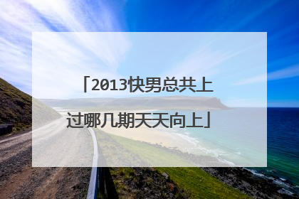 2013快男总共上过哪几期天天向上