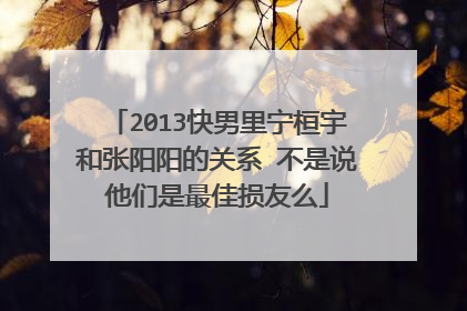 2013快男里宁桓宇和张阳阳的关系 不是说他们是最佳损友么