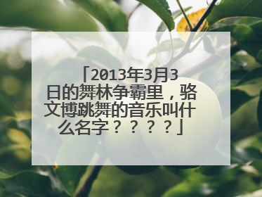 2013年3月3日的舞林争霸里，骆文博跳舞的音乐叫什么名字？？？？