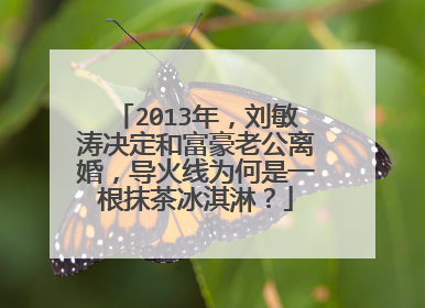 2013年,刘敏涛决定和富豪老公离婚,导火线为何是一根抹茶冰淇淋?