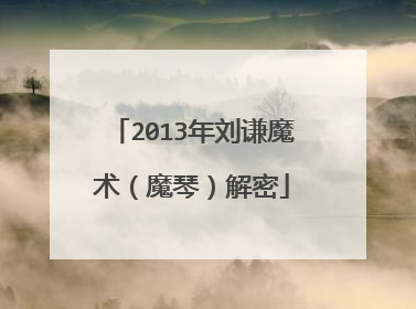 2013年刘谦魔术(魔琴)解密