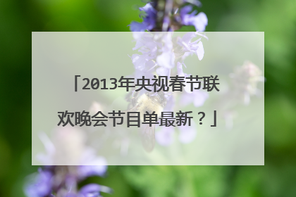2013年央视春节联欢晚会节目单最新？