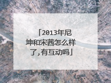 2013年尼坤和宋茜怎么样了,有互动吗