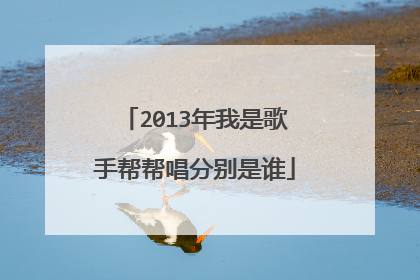 2013年我是歌手帮帮唱分别是谁