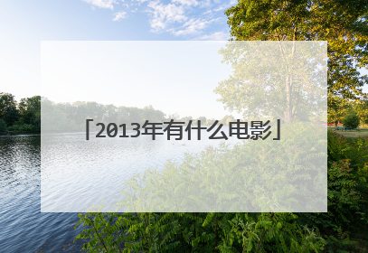 2013年有什么电影