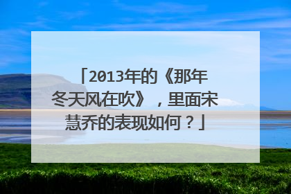 2013年的《那年冬天风在吹》,里面宋慧乔的表现如何?