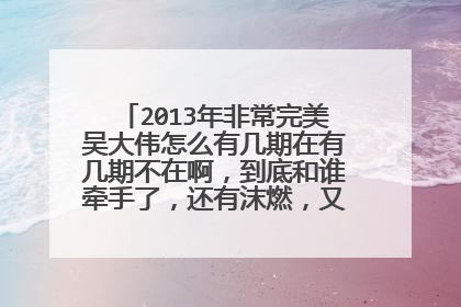 2013年非常完美吴大伟怎么有几期在有几期不在啊,到底和谁牵手了,还有沫燃,又和谁牵手了