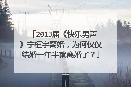 2013届《快乐男声》宁桓宇离婚,为何仅仅结婚一年半就离婚了?