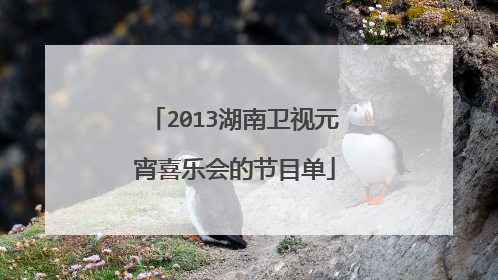 2013湖南卫视元宵喜乐会的节目单