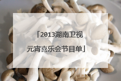 2013湖南卫视元宵喜乐会节目单