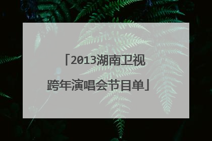 2013湖南卫视跨年演唱会节目单