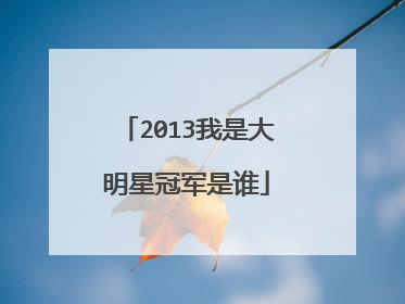 2013我是大明星冠军是谁