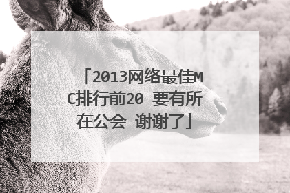 2013网络最佳MC排行前20 要有所在公会 谢谢了