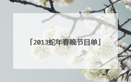 2013蛇年春晚节目单