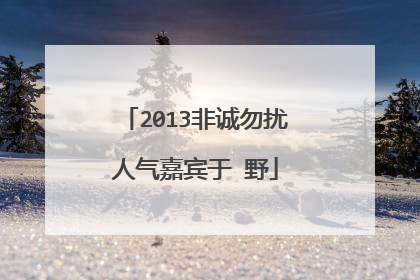 2013非诚勿扰人气嘉宾于 野