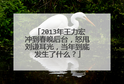 2013年王力宏冲到春晚后台，怒甩刘谦耳光，当年到底发生了什么？