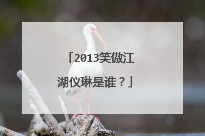2013笑傲江湖仪琳是谁？