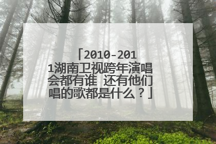 2010-2011湖南卫视跨年演唱会都有谁 还有他们唱的歌都是什么?