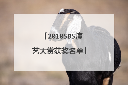 2010SBS演艺大赏获奖名单