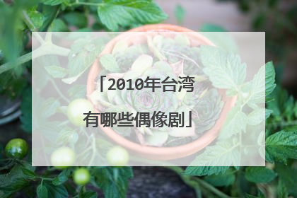 2010年台湾有哪些偶像剧