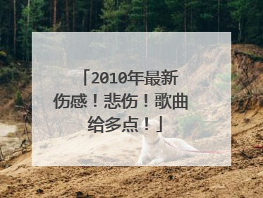 2010年最新伤感！悲伤！歌曲 给多点！